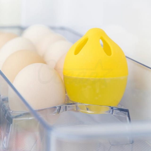 Fridge Fresh Deodorizer 30g 1