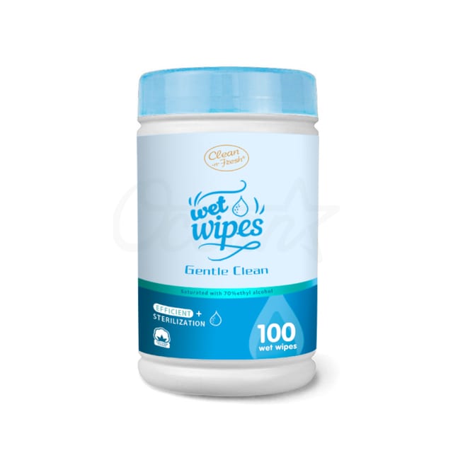 Osk20004 Hand Sanitizer Wipes 100pcs