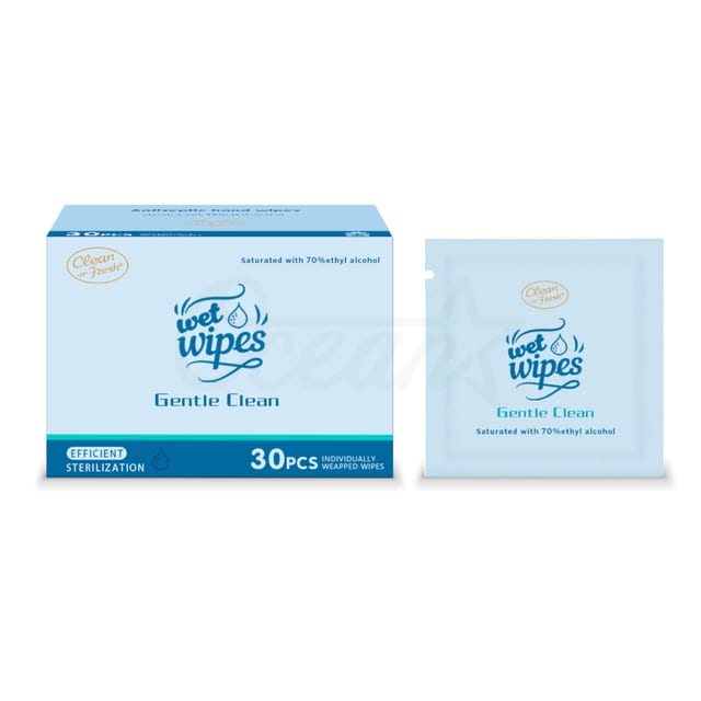 Osk20003 Hand Sanitizer Wipes 30pcs