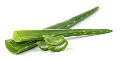 Aloe