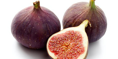 Fig