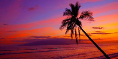 Hawaiian sunnet