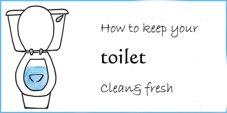 Tolet-clean-and-fresh