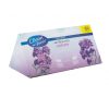 PVC & EVA car air freshener