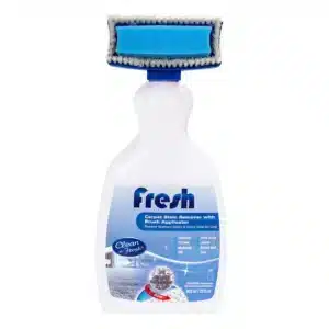 Carpet Cleaner With Brush