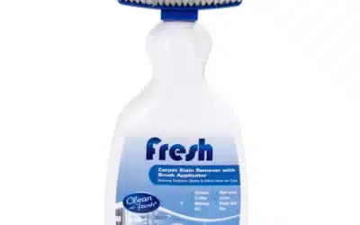 Carpet Cleaner With Brush